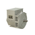 Brushless Synchronous Generator (JDG Serie)